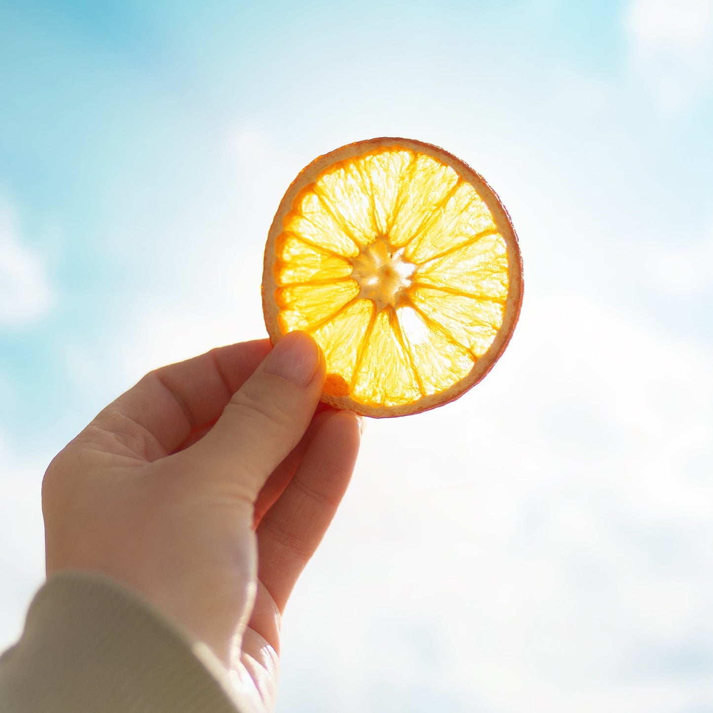 Dried Orange Slices for Cocktail Garnish (30 to 35 Slices) 3.5 Oz, Dehydrated Orange Wheels for Cake, Cooking, Decoration, Christmas Decor, Natural Sun Dried Citrus Fruit - Ceres Gourmet