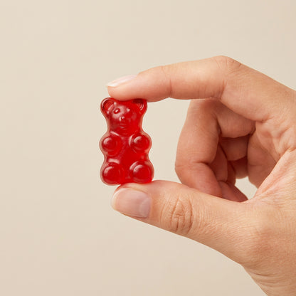 Gummy Bears – 2.2 lb (1 kg) Bulk Bag | Soft & Chewy Fruit Juice Gummy Candy