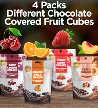 Chocolate Coated Fruit Dragee Variety Pack 4 Pcs, Orange, Cherry, Peach, Strawberry, Dried Fruits Covered with Dark and Milk Chocolate