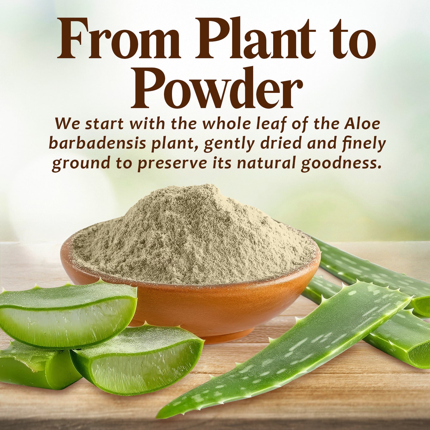 Aloe Vera Powder 8 oz – 100% Pure Aloe Leaf Powder for Skin & Hair DIY Care