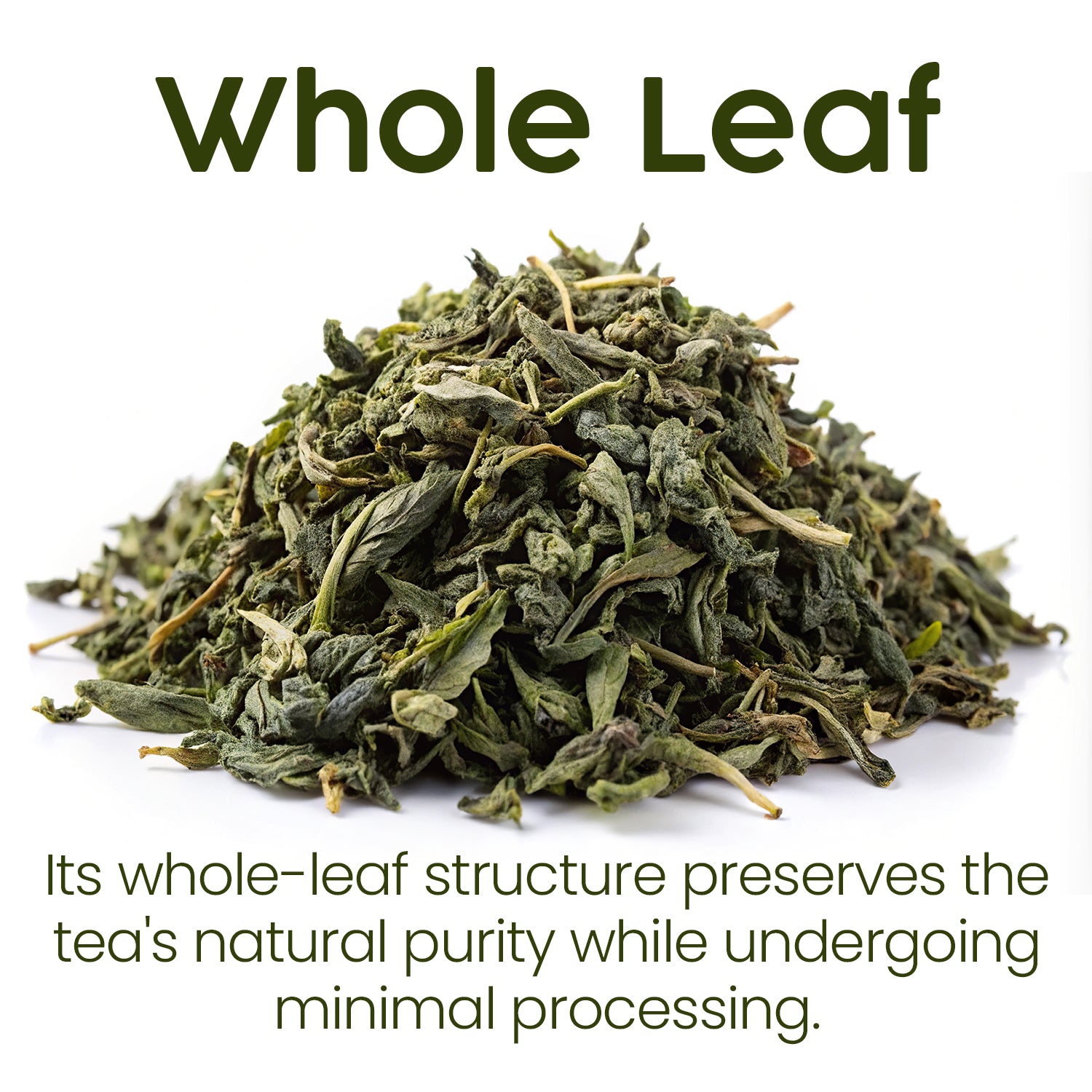 A pile of dried nettle leaves labeled Whole Leaf above and Ceres Gourmet Whole Leaf Nettle Tea 2.5 Oz preserves the natural purity of loose leaf tea with minimal processing below.
