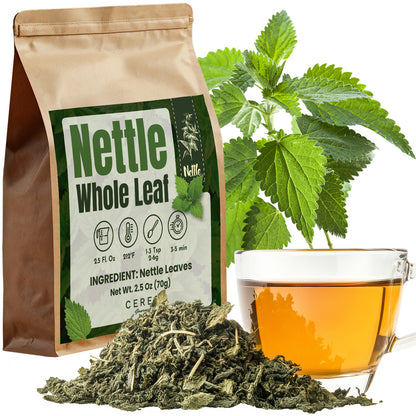 A Ceres Gourmet Whole Leaf Nettle Tea 2.5 Oz bag, a cup of stinging nettle tea, natural dried nettle leaves, and a fresh nettle plant are arranged together on a white background.