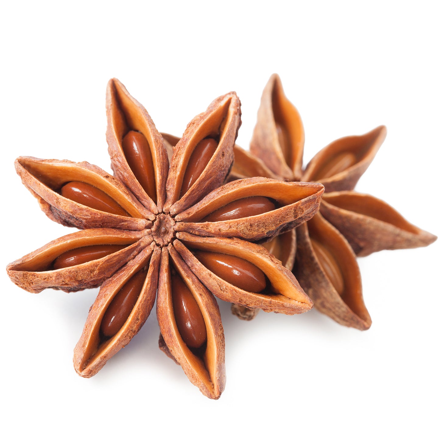 Ceres Gourmet Whole Star Anise Pods (2.1 oz) are displayed on a white background—perfect for baking, cooking, and anise tea, and ideal for storing fresh in a resealable jar.
